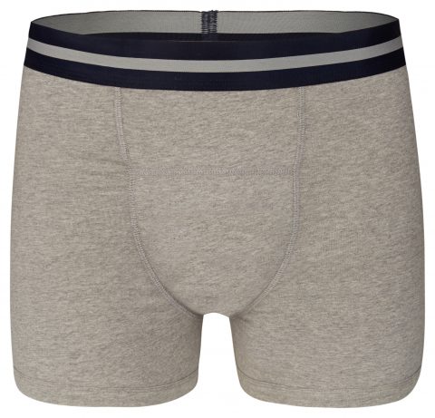 Men Boxer Grey