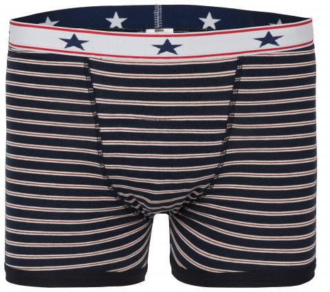 Men Boxer Stripes F